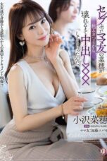 DLDSS 401